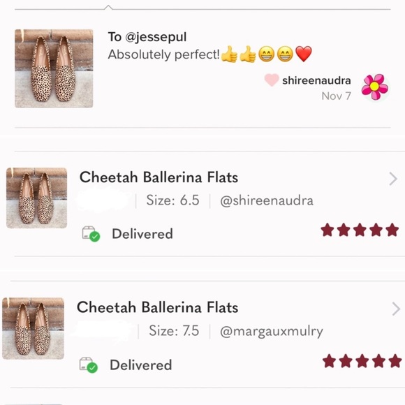 Cheetah Flats - Picture 5 of 5